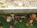 image of grave number 724020